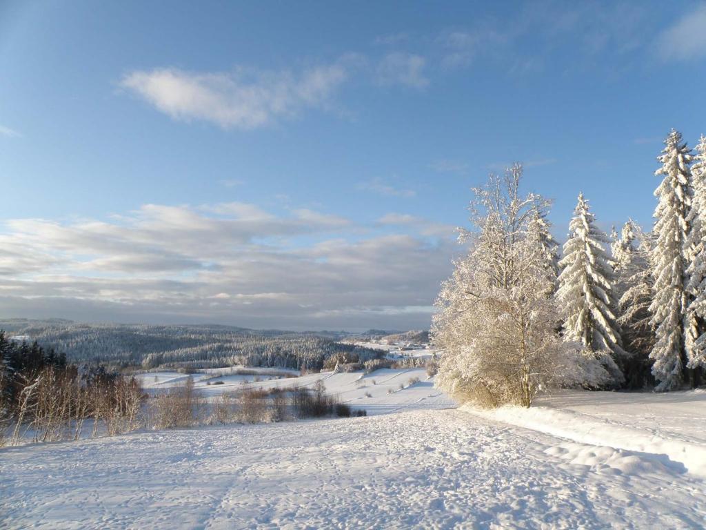 Prinzenhof Hotell Gross Gerungs Exteriör bild